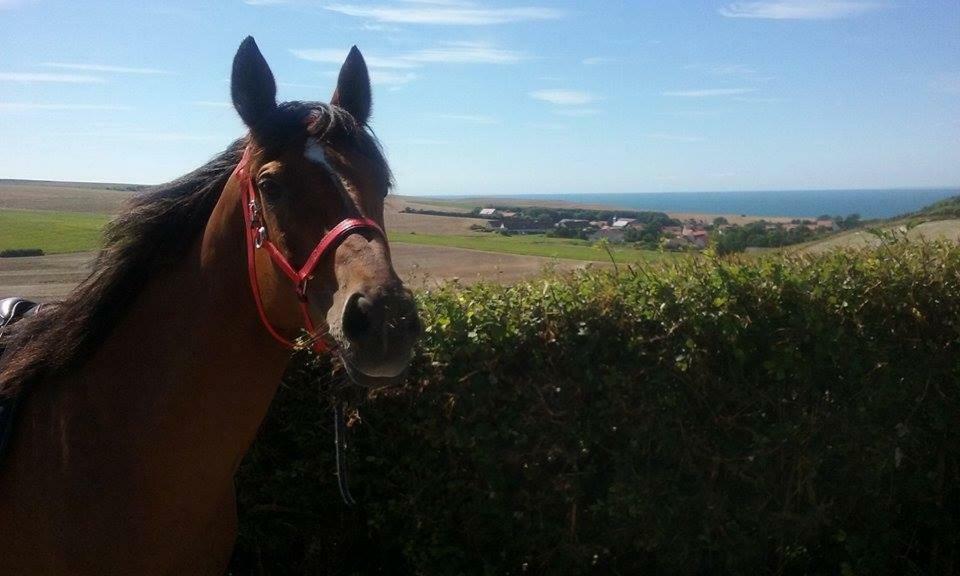 Holiday home Du Mont De La Louve