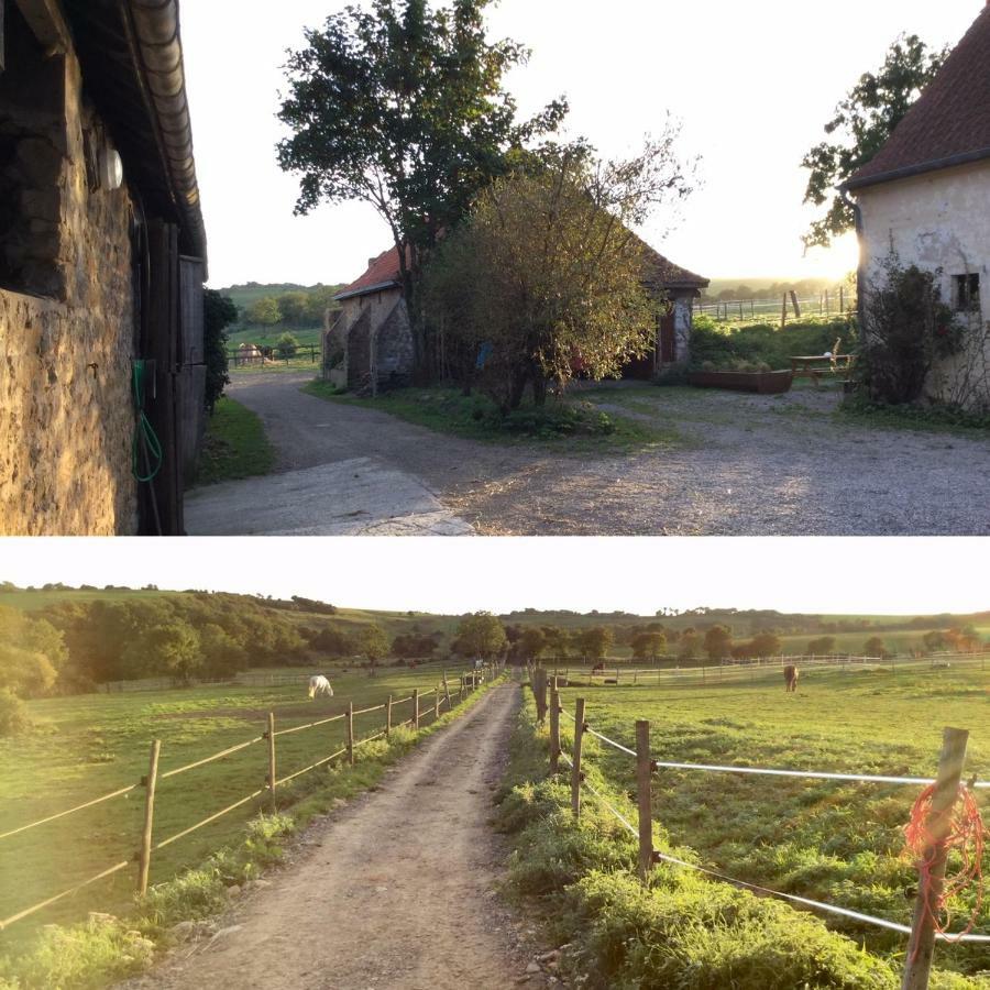 Du Mont De La Louve Bazinghen